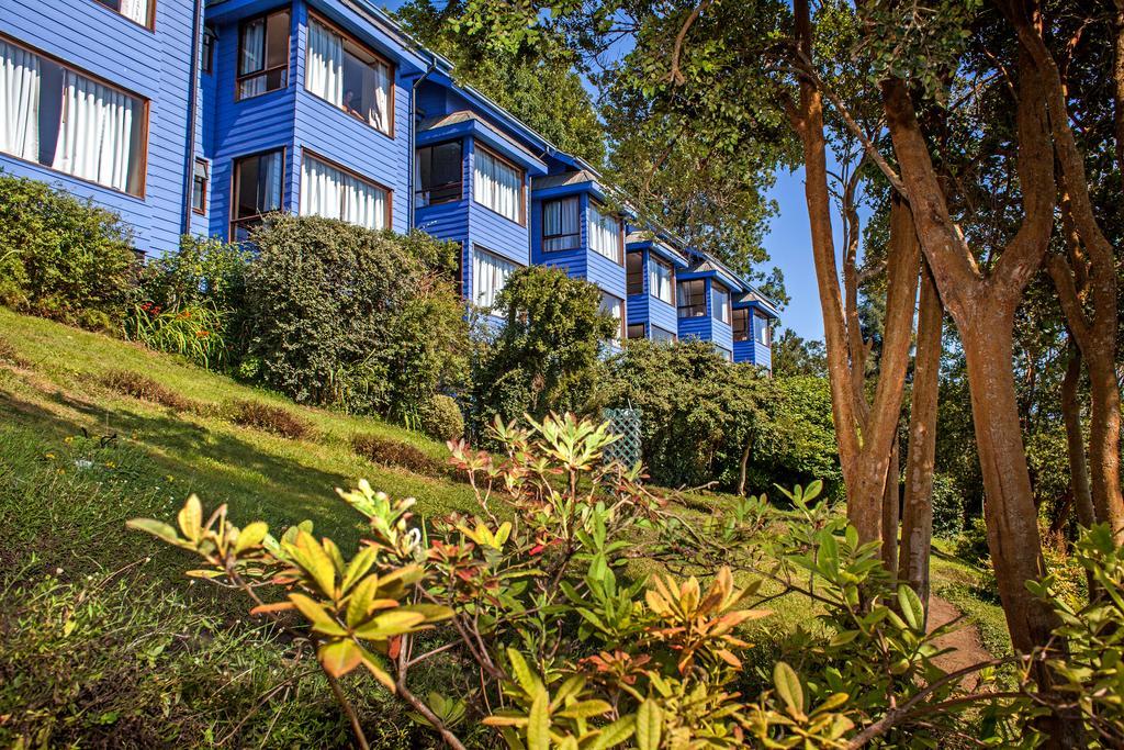 Hotel Elun, La Mejor Vista ฟรูติญาร์ ภายนอก รูปภาพ